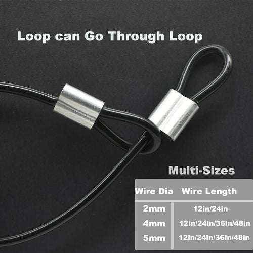10 Pcs 2mm Wire 24 inch Vinyl Coated Stainless Steel Cable with Loops Short Wire Rope Lanyard Lock Security Chain Link for Outdoor Gates, Black (2mm x 24inch)