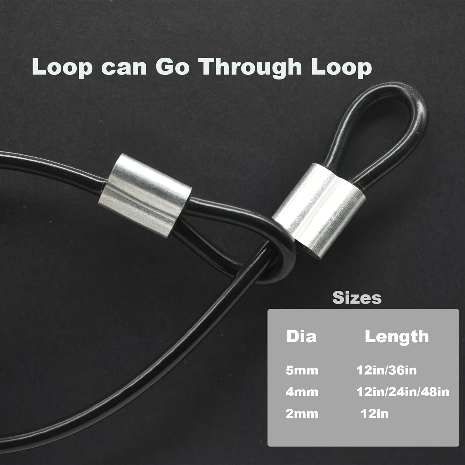 10 Pcs 4mm Wire 12 inch Vinyl Coated Stainless Steel Cable with Loops Short Wire Rope Lanyard Lock Security Chain Link for Outdoor Gates, Black(4mm x 12inch)