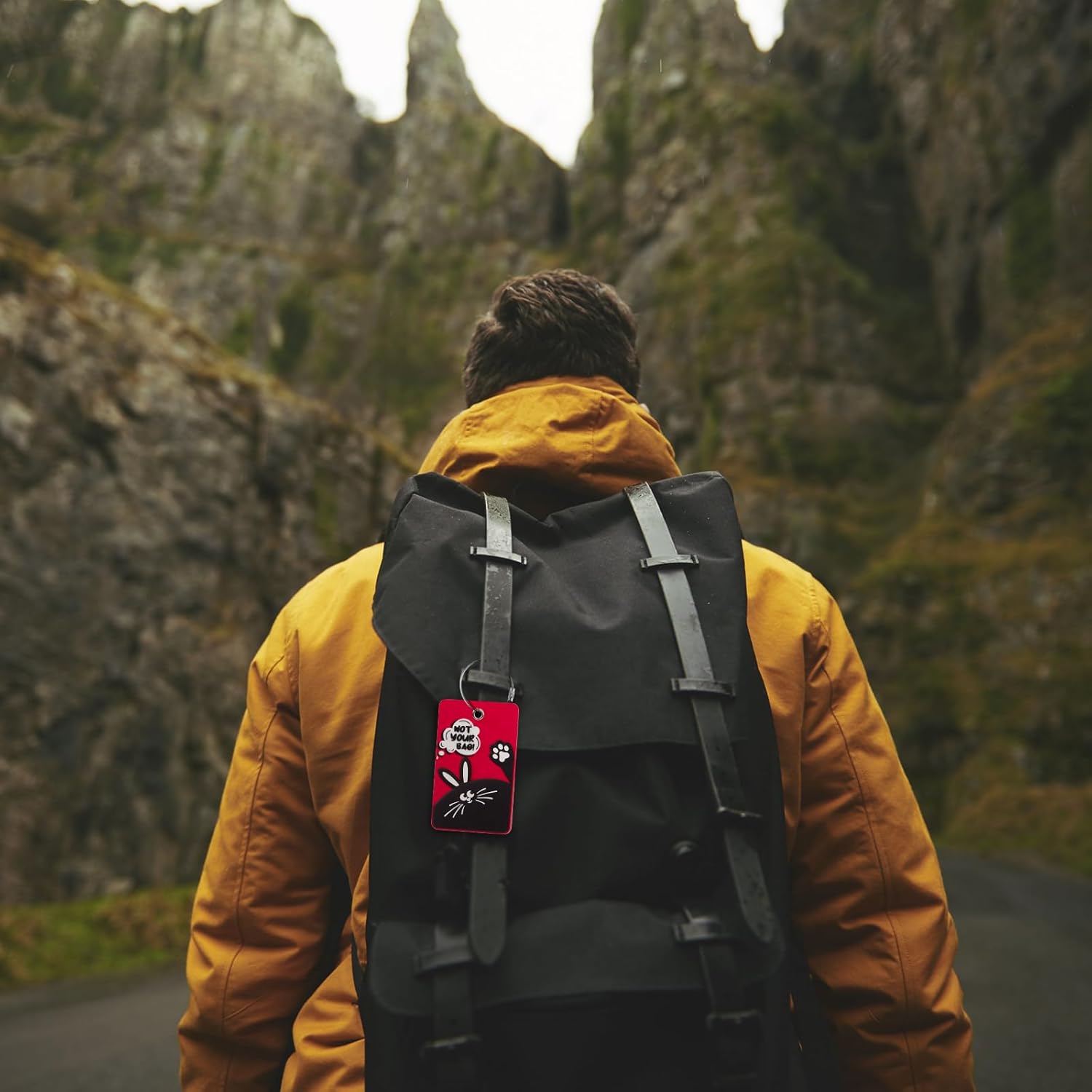 2PCS 2303 Bright Silicone Luggage tag (Red)